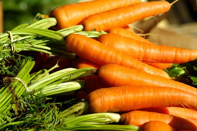 Как собирать и хранить морковь – мыть или не мыть