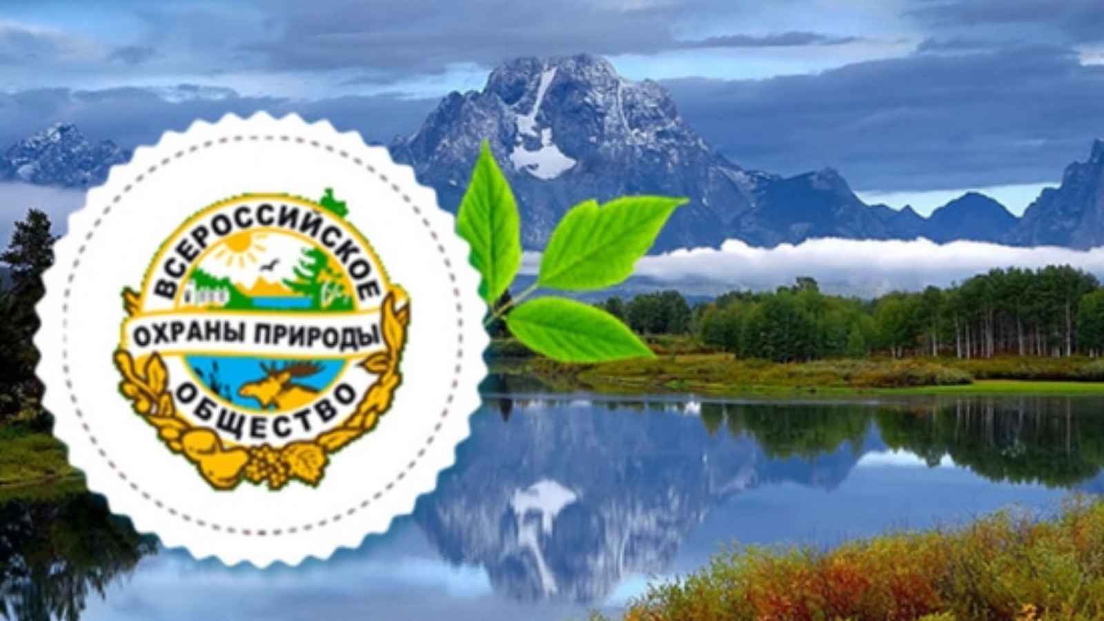 1. Всероссийское общество охраны природы (ВООП)