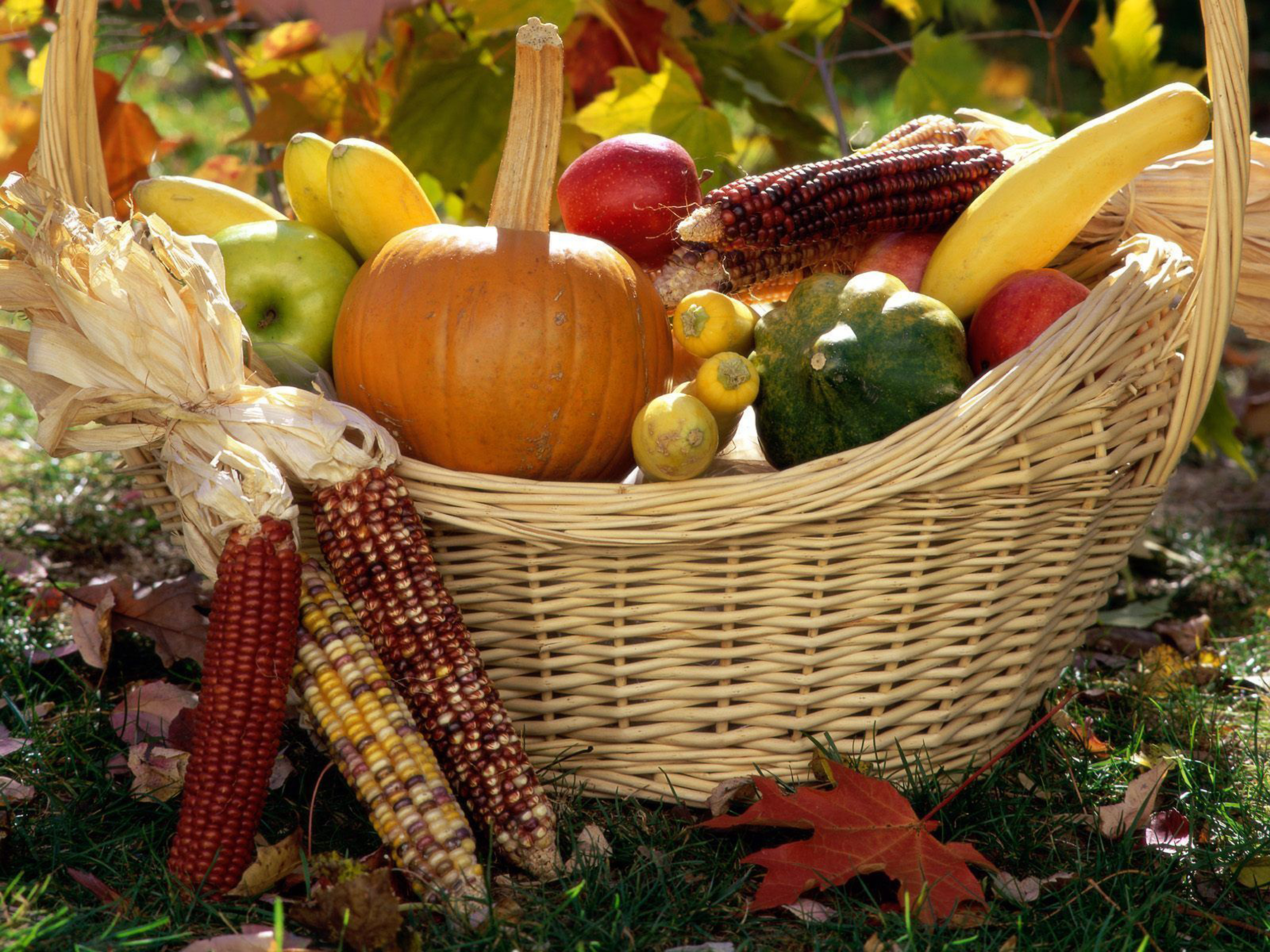 Овощи ноябрь. Осенний огород. Праздник урожая. Осенний сбор урожая. Осенние овощи.