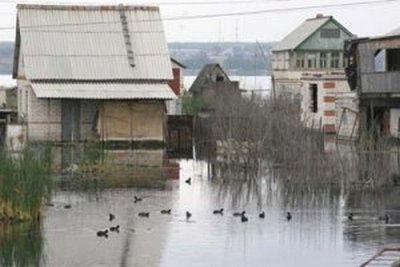 sineglazovo1