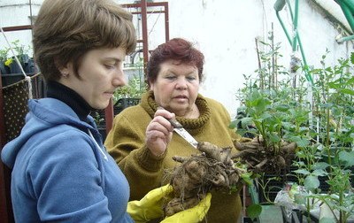 omsk_1