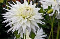 omsk_botanocheskiy2