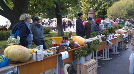 IMAG0327-940x440