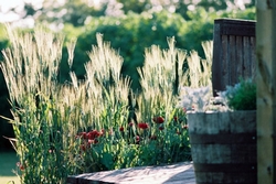 illu_article_content_10