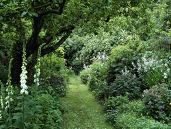 illu_article_content_5
