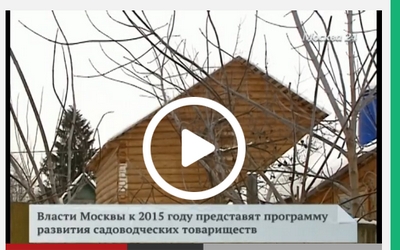 programma_v_moskve