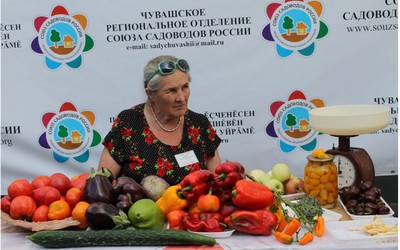 den_goroda_chuvashiya