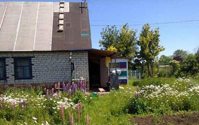 barnaul_avt_dacha