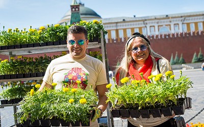 Андрей Малахов и другие звезды стали садоводами на Фестивале цветов