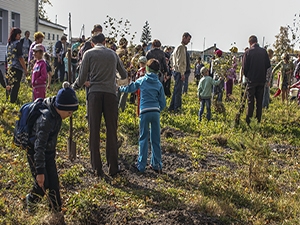 «Аллею первоклассников» высадили в Тайге