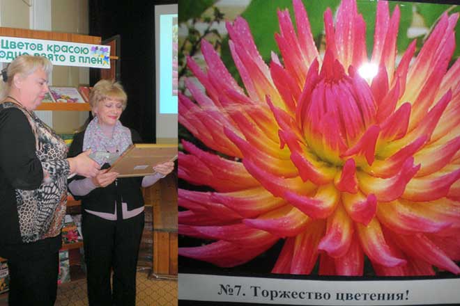 В Йошкар-Оле прошел фотоконкурс садоводов-любителей