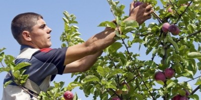 «Клуб садоводов» начнет в ноябре работу в Севастополе