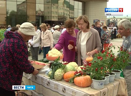 Тожественное открытие выставки-ярмарки Золотая сотка прошло на читинской госконюшне