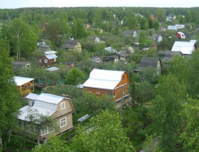 В Татарстане в следующем году 550 миллионов рублей будут потрачены на нужды садоводов