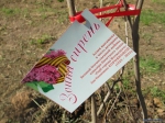 В Волжском в честь ветерана Великой Отечественной войны заложили аллею