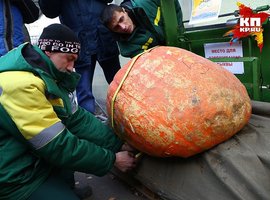 Нижегородец вырастил тыкву весом 57,5 килограммов