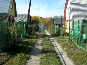 Севастопольским садоводам дадут шанс доприватизировать участки