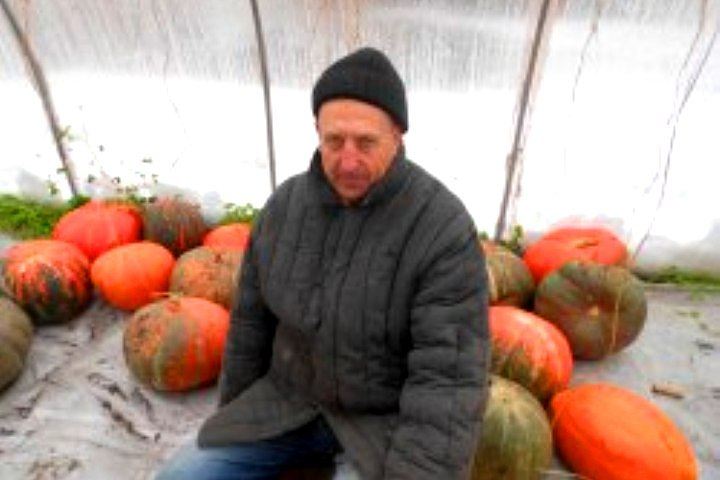 Прокопчанин подарил малообеспеченным землякам целую тонну тыквы