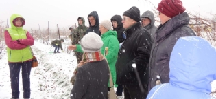 Городским садоводам раскроют секреты хороших урожаев