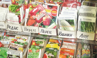Дачники на низком старте