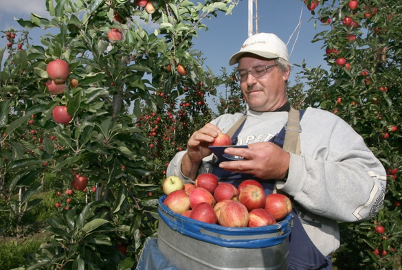 В Курске построят склады для хранения продукции дачников