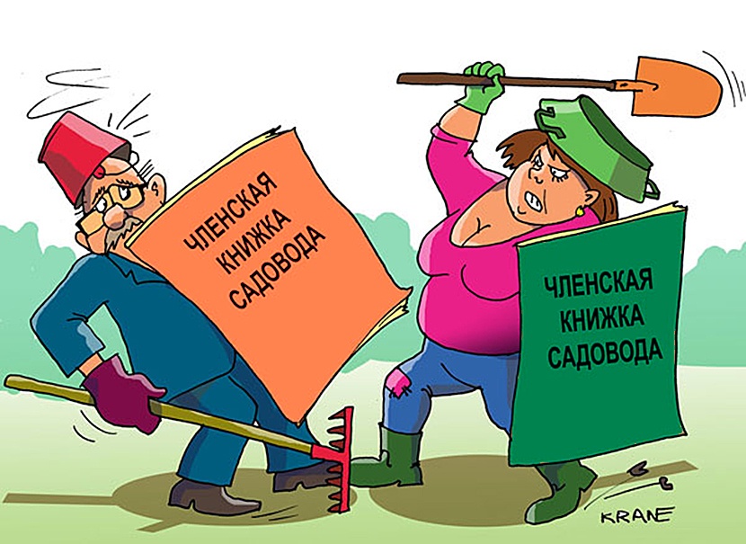 Удачный союз