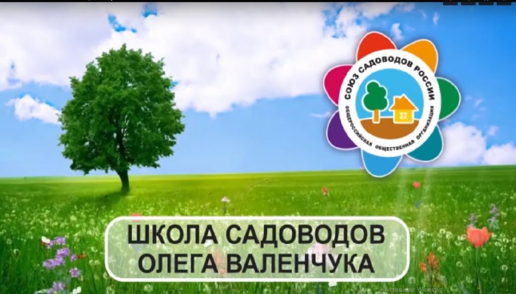 Группы Школы садоводов Олега Валенчука работают в социальных сетях