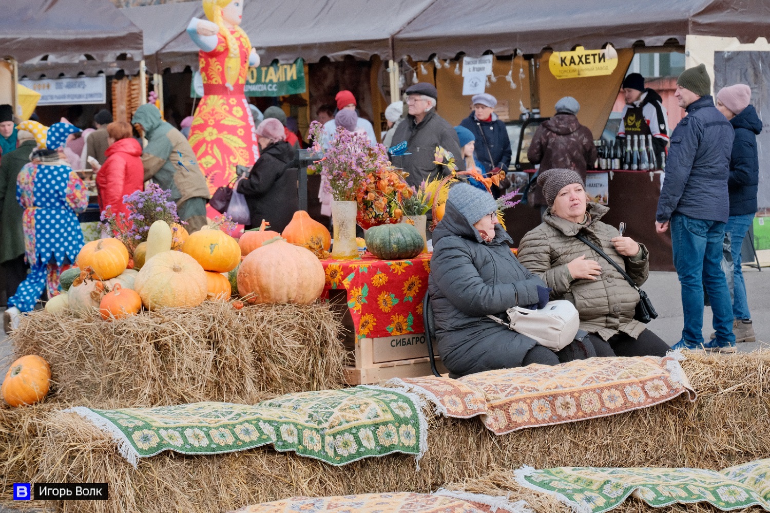 Выставка-ярмарка «Золотая осень – 2022 #Ешьтомское»